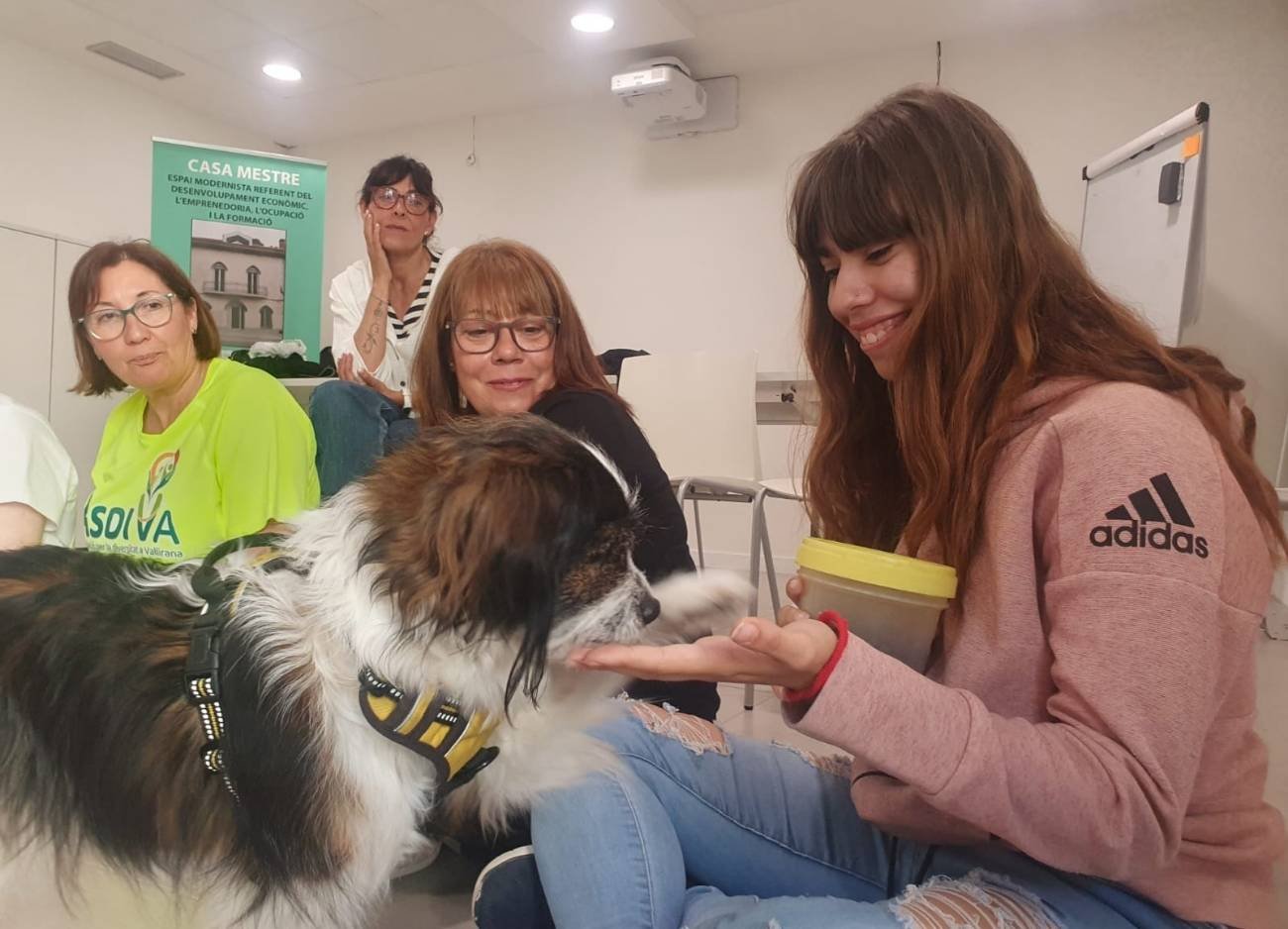 Asdiva asociacion diversidad vallirana (4)