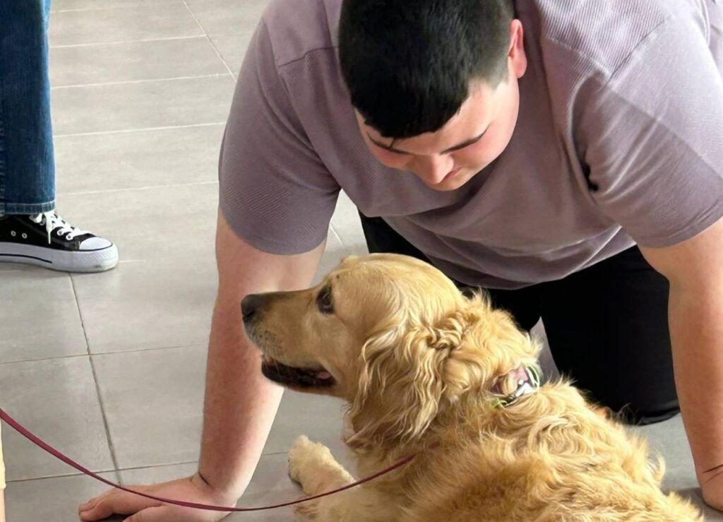 Asdiva asociacion diversidad vallirana (5)